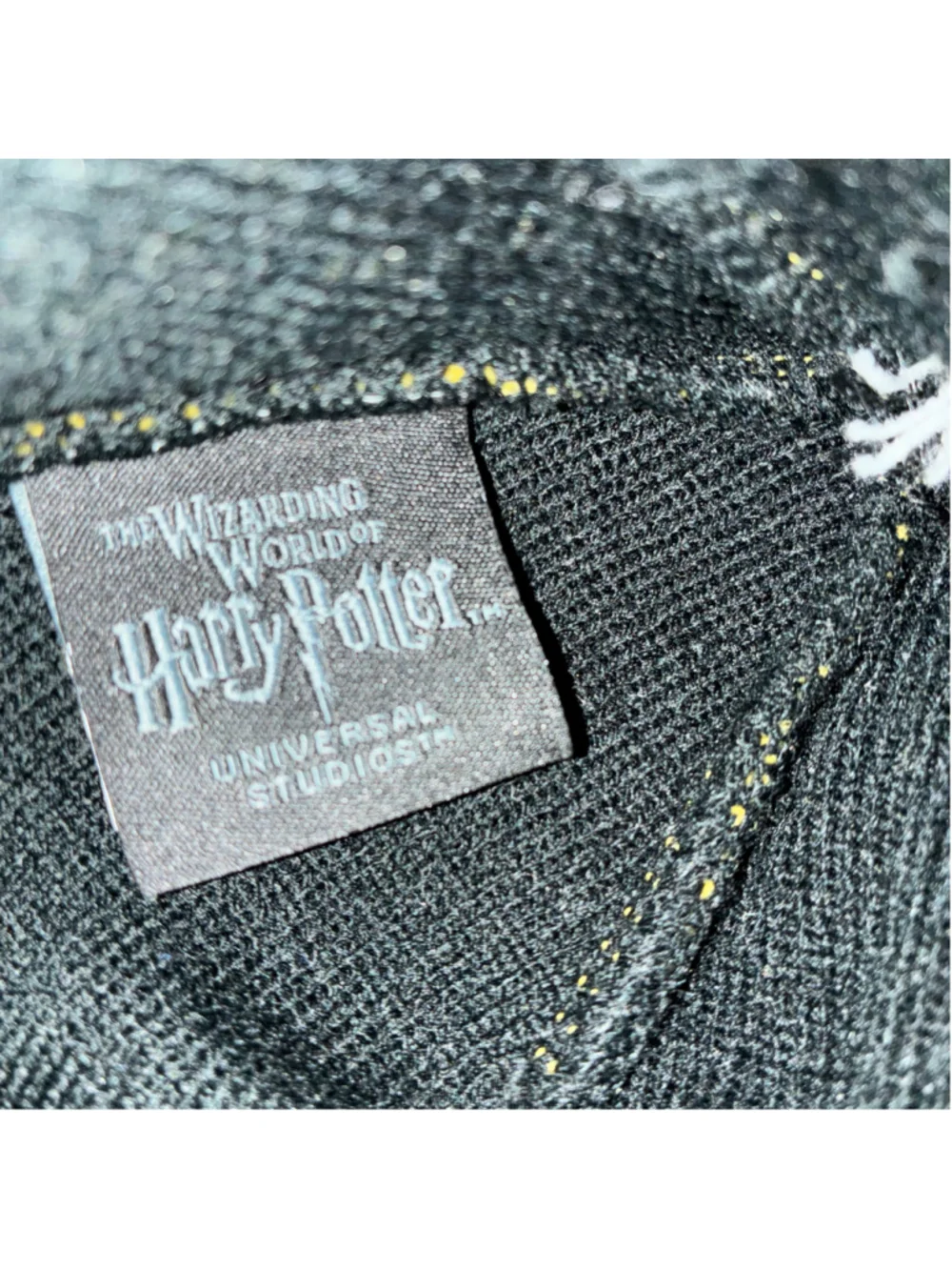 Universal Studios this hufflepuff
